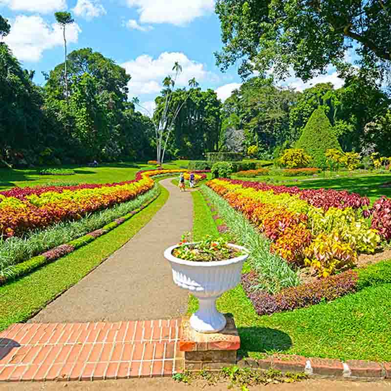 Peradeniya Botanical Garden in Sri Lanka